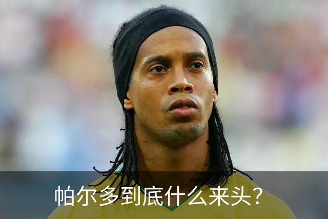 帕尔多到底什么来头？